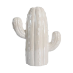 Hucha Cactus