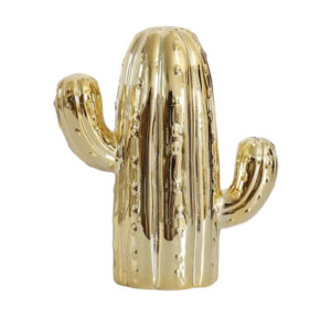 Hucha Cactus 5